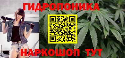 тгк Братск