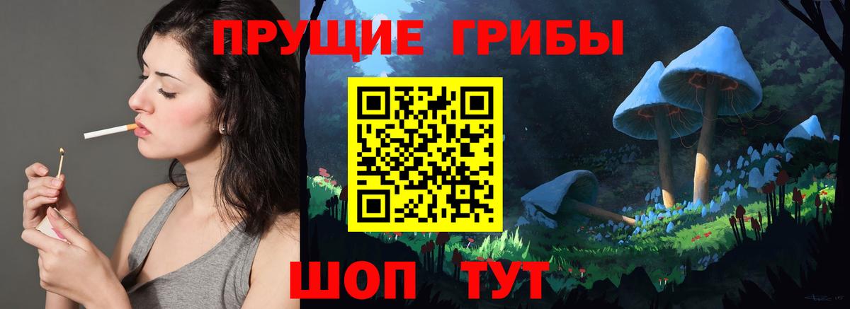 Нарьян-Мар  Псилоцибиновые грибы Psilocybine cubensis  Вход с VPN 